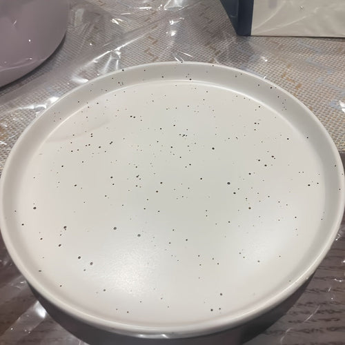 Ceramic Dinner Plate with Splattered Ink Design