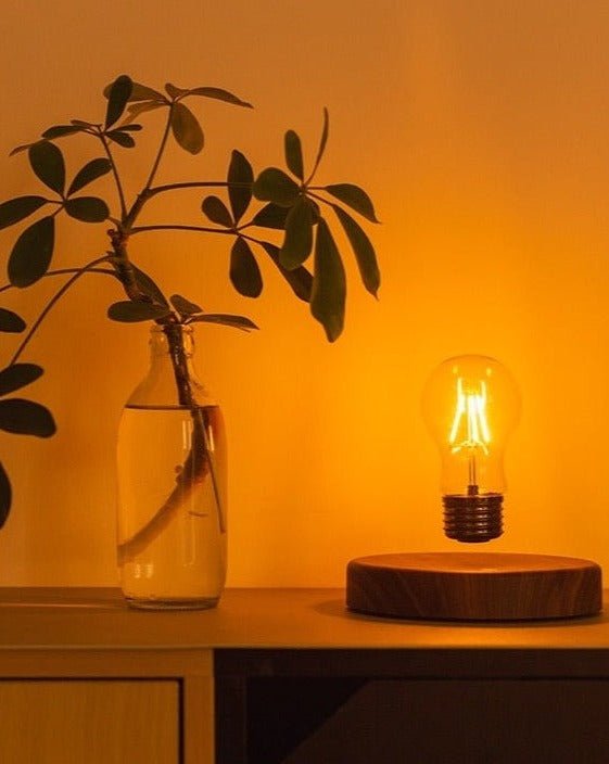 Floating Bulb Lamp