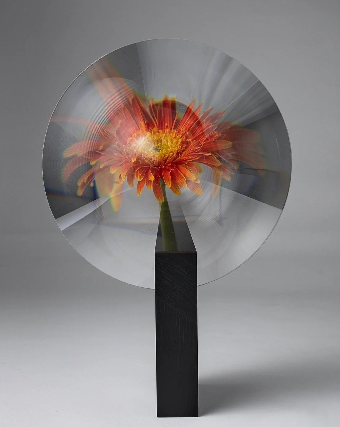 Phantom Modern Decorative Vase